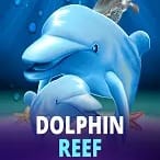 Dolphin Reef screenshot